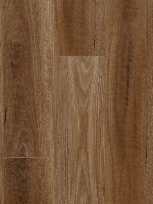 12mm Laminate MTF - Spotted Gum - HTT Flooring